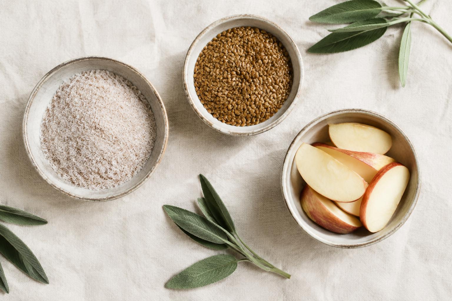 Psyllium husk, flax seeds and apple slices